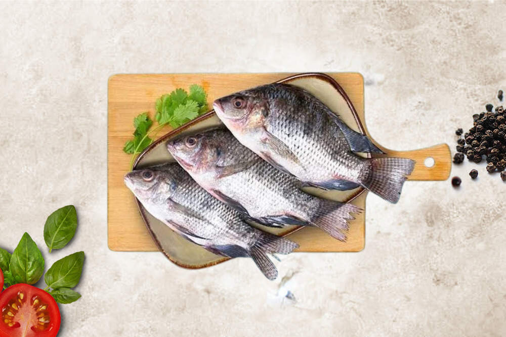 Jilebi / ஜிலேபி மீன்  - (1kg)