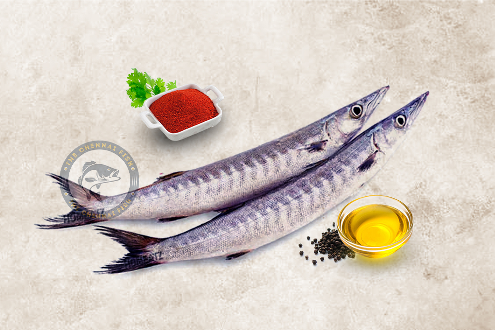 Sheela / சீலா மீன் (Small) - (500g)