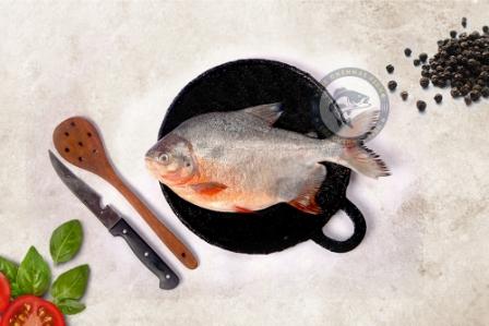 river pomfret / Yeri Vaval / ஏரி வாவல் - (1kg)