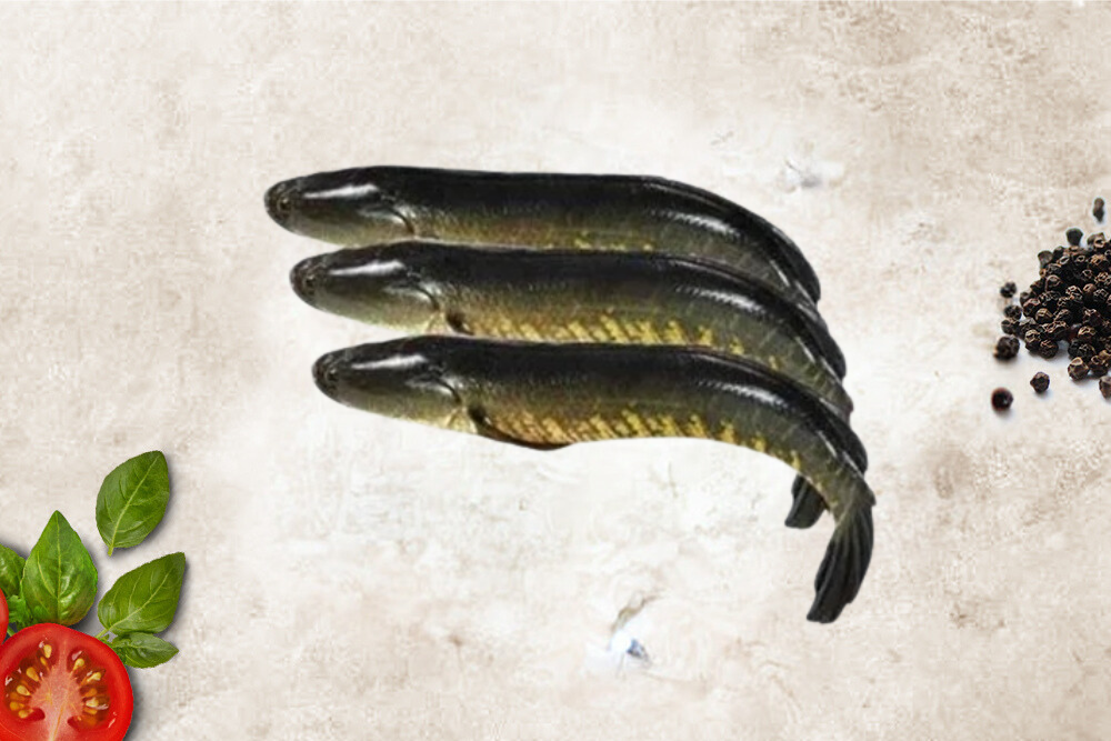 Viral / விரால் மீன் - (500g)